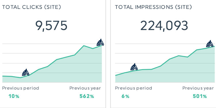 Pet Supply SEO Case Study Image